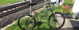 MTB Velo Grau Herren gebraucht Grösse M