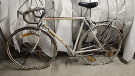 PEUGEOT Vintage Rennvelo