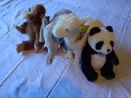 4 Coop Abenteuer Wildnis