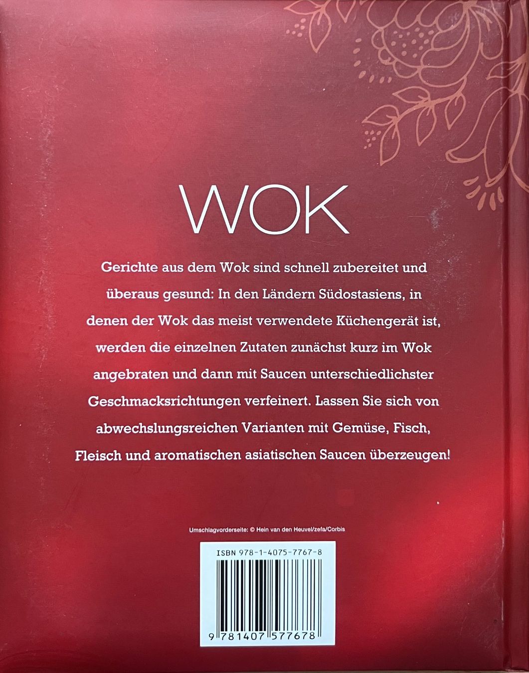 Libri: Buch - Wok – Usato da Leimbach TG venduto da manu-tg 1