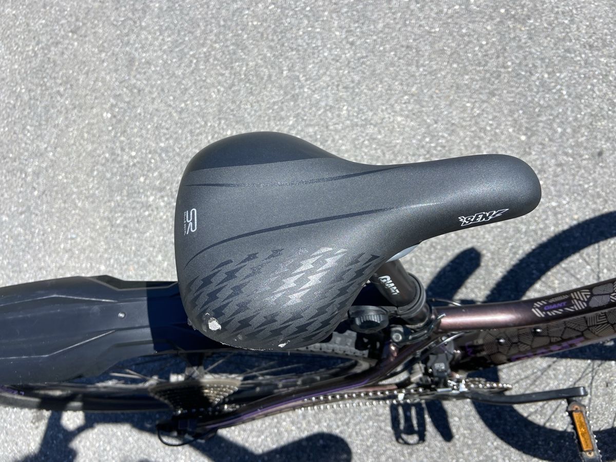 Liv Velos: Giant Liv Bike – Gebraucht aus Hünibach von aplee 6