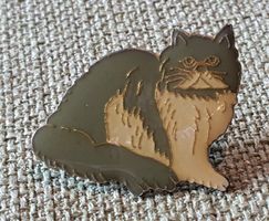 G542 - Pin Katze