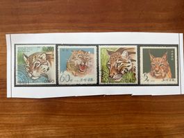 diverse Länder Lot Wildkatzen  gest.  (A1009)