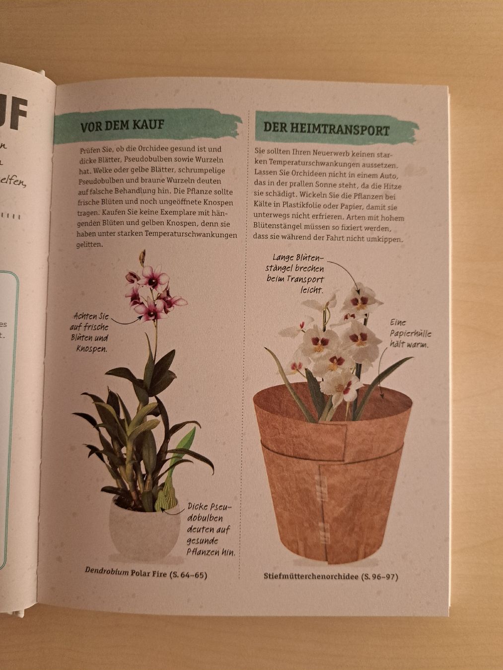 Libri: neu und unbenutzt: Orchideen Buch – Nuovo (secondo la descrizione) da Uzwil venduto da eri_lz5x 3