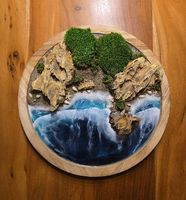 Epoxidharz/Moos Wandbild Oceanküste