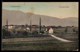 AK Neuendorf, Gesamtansicht mit Landstrasse