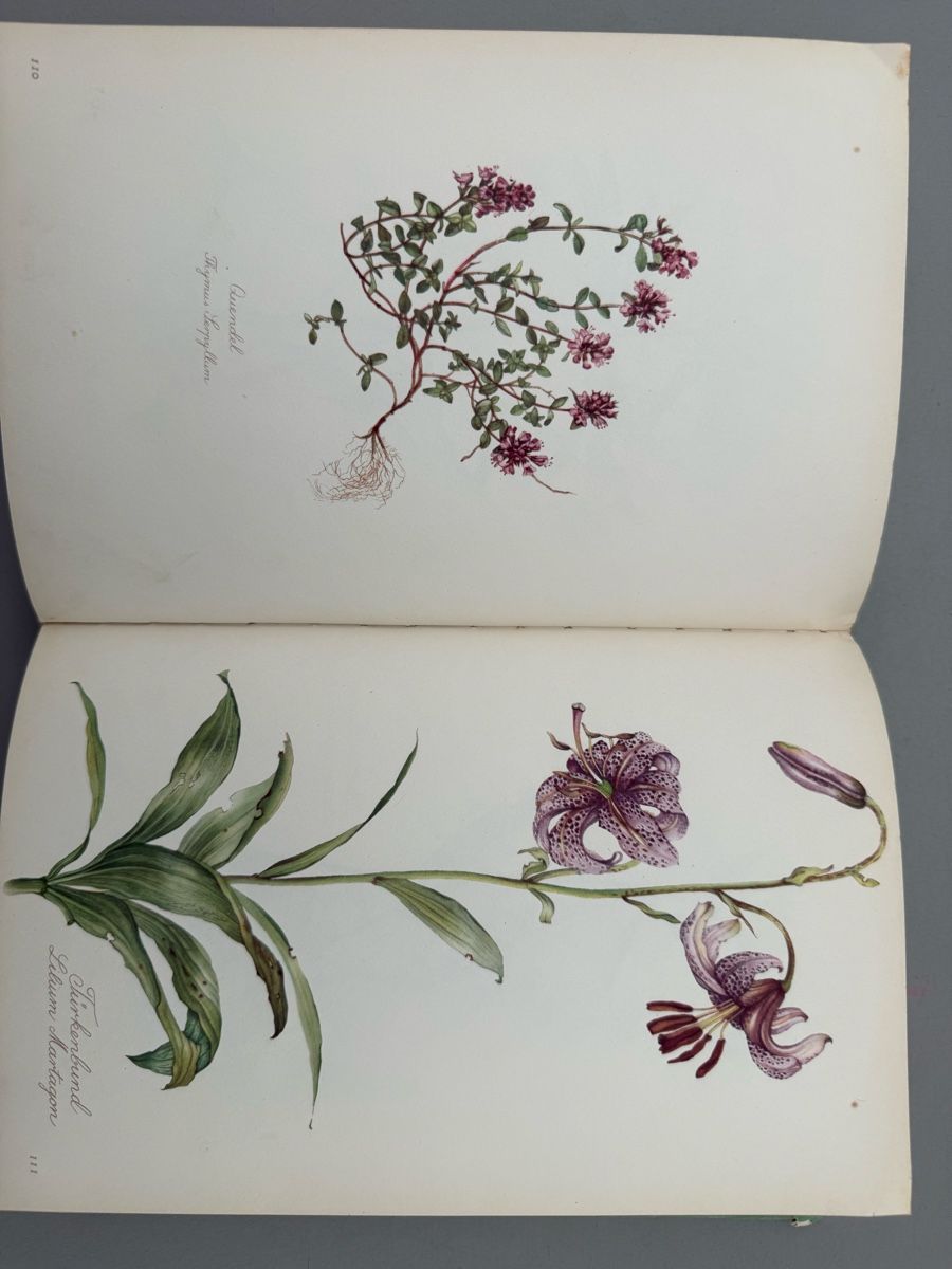 Libri: // Blumenfibel // – Usato da Birmenstorf AG venduto da Pat_roll. 5