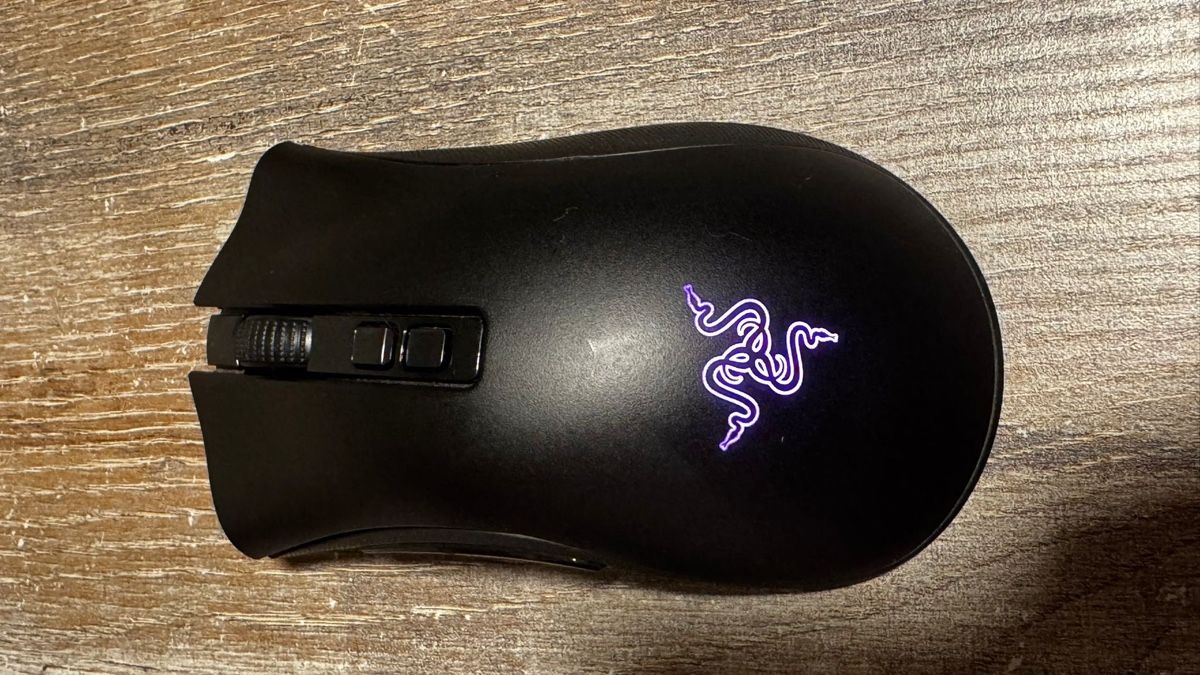 Razer Mouse: Souris gaming Razer DeathAdder V2 Pro – Usato da Domdidier venduto da DevilTek 7