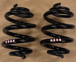 HinterachsFedern für Modelle VW T5/T6/T6.1 (7H5511115L)