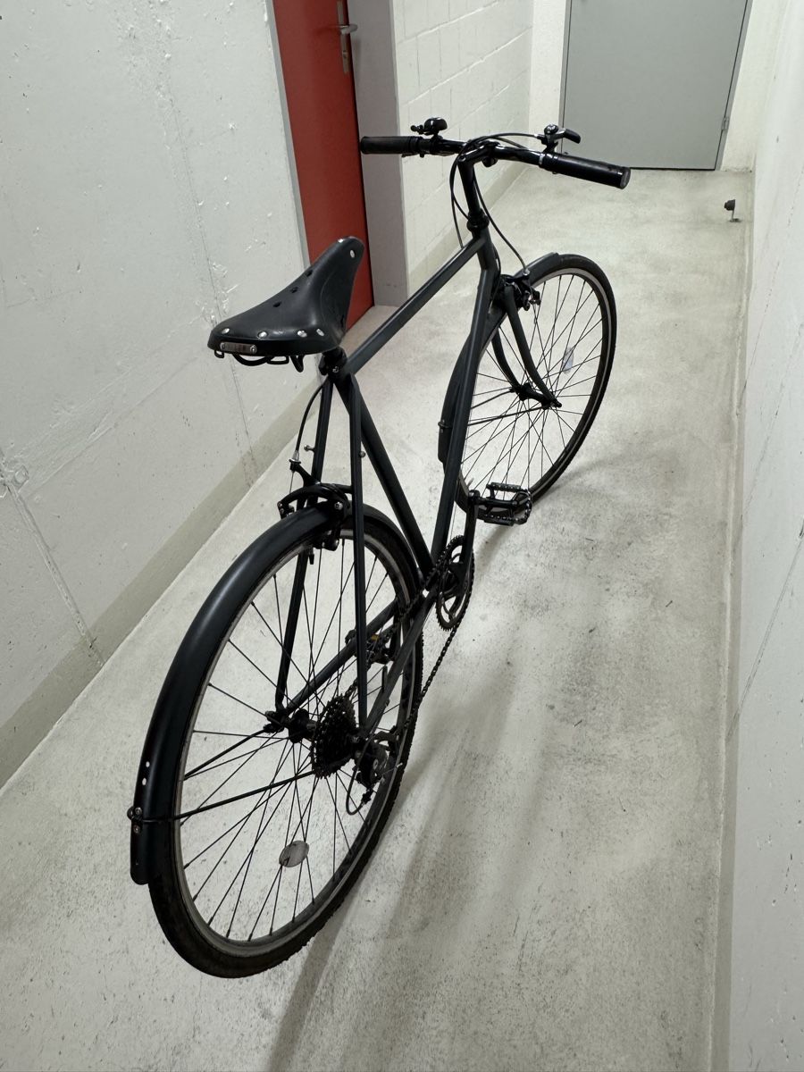 Siech Biciclette: Siech Velo 8 Speed Men Classic – Usato da Zürich venduto da anti07 5