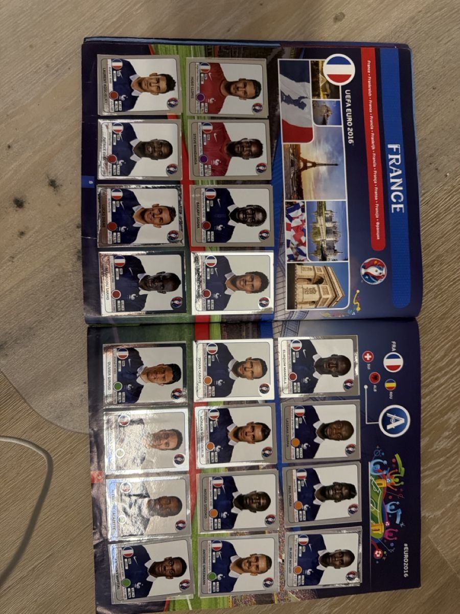 Libri: Euro 2016 Panini Heft Voll – Usato da Winterthur venduto da Baggio2 1