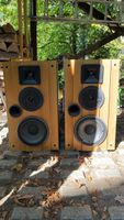 Vintage-Lautsprecher Electro Voice