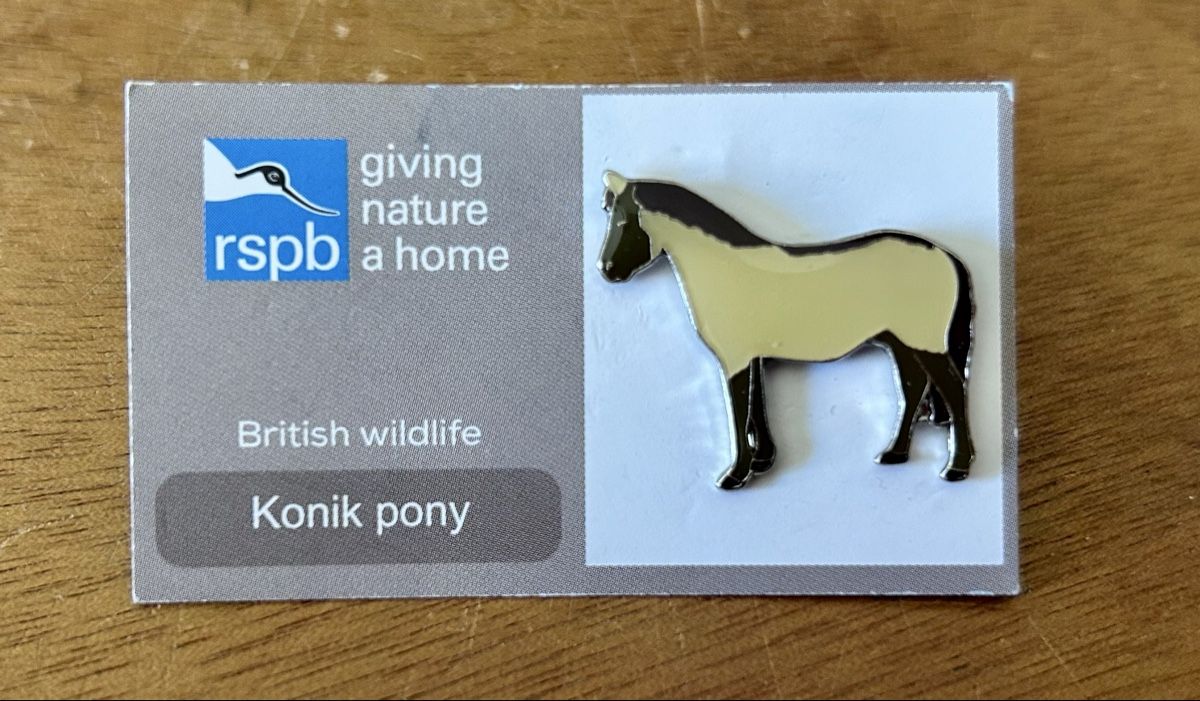 Placchette & Badge: RSPB Pin Konikpony – Nuovo (secondo la descrizione) da Zürich venduto da ann_9fv5