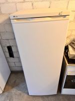 Tiefkühlschrank weiss 6 Schubladen gut erhalten