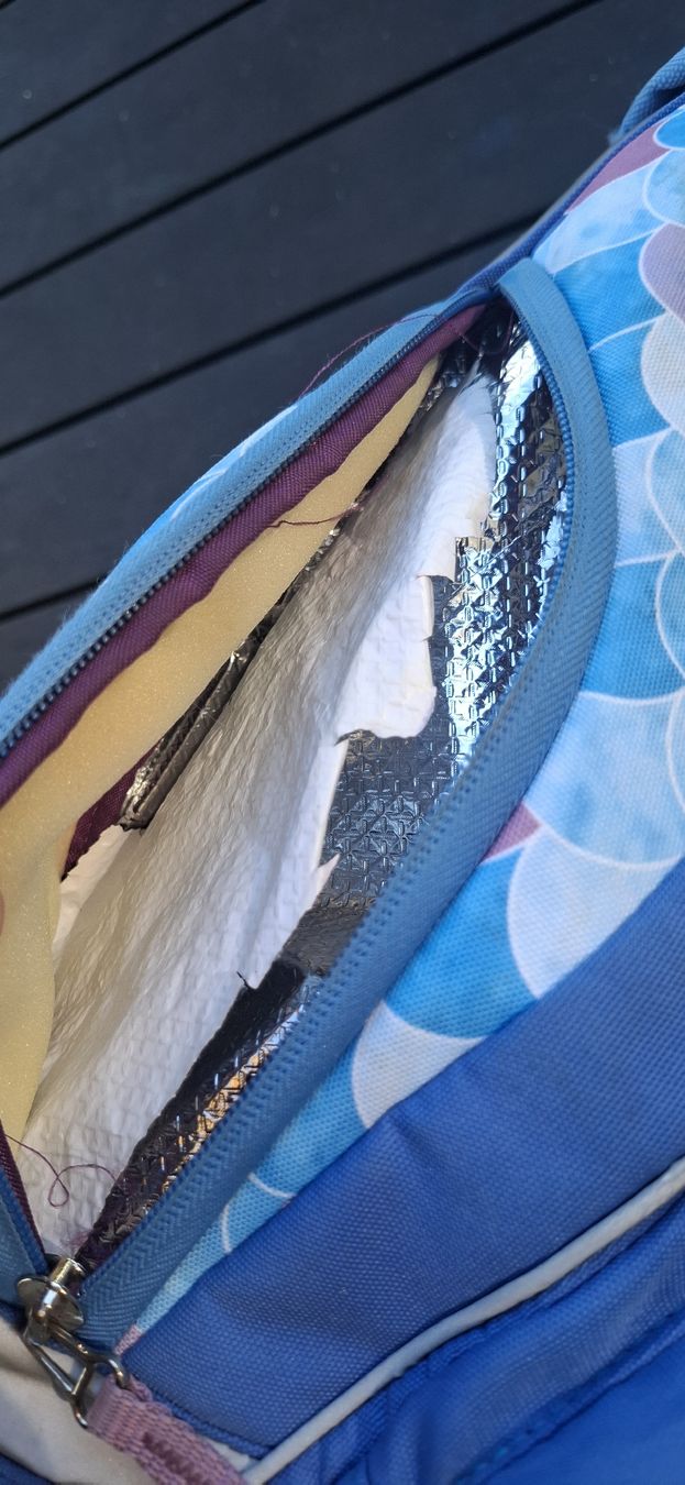 Kindertaschen: Schulsack Funki – Gebraucht aus Thörigen von SILY20 5