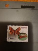 Timbre rare du Panama - Papillon Tarchon felderi!
