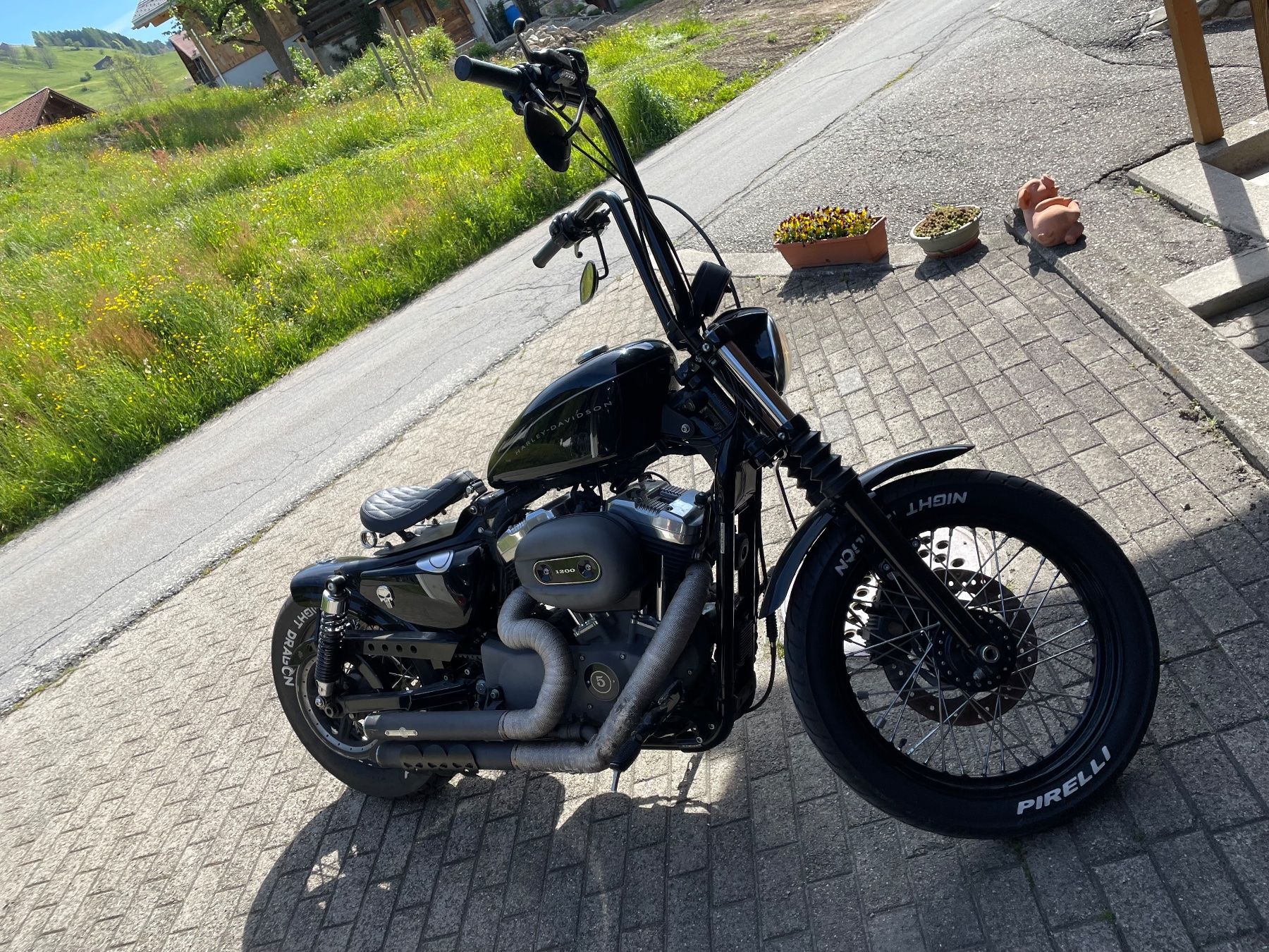 Harley-Davidson Chopper: Harley-Davidson XL1200N – Usato da Trun venduto da borns111