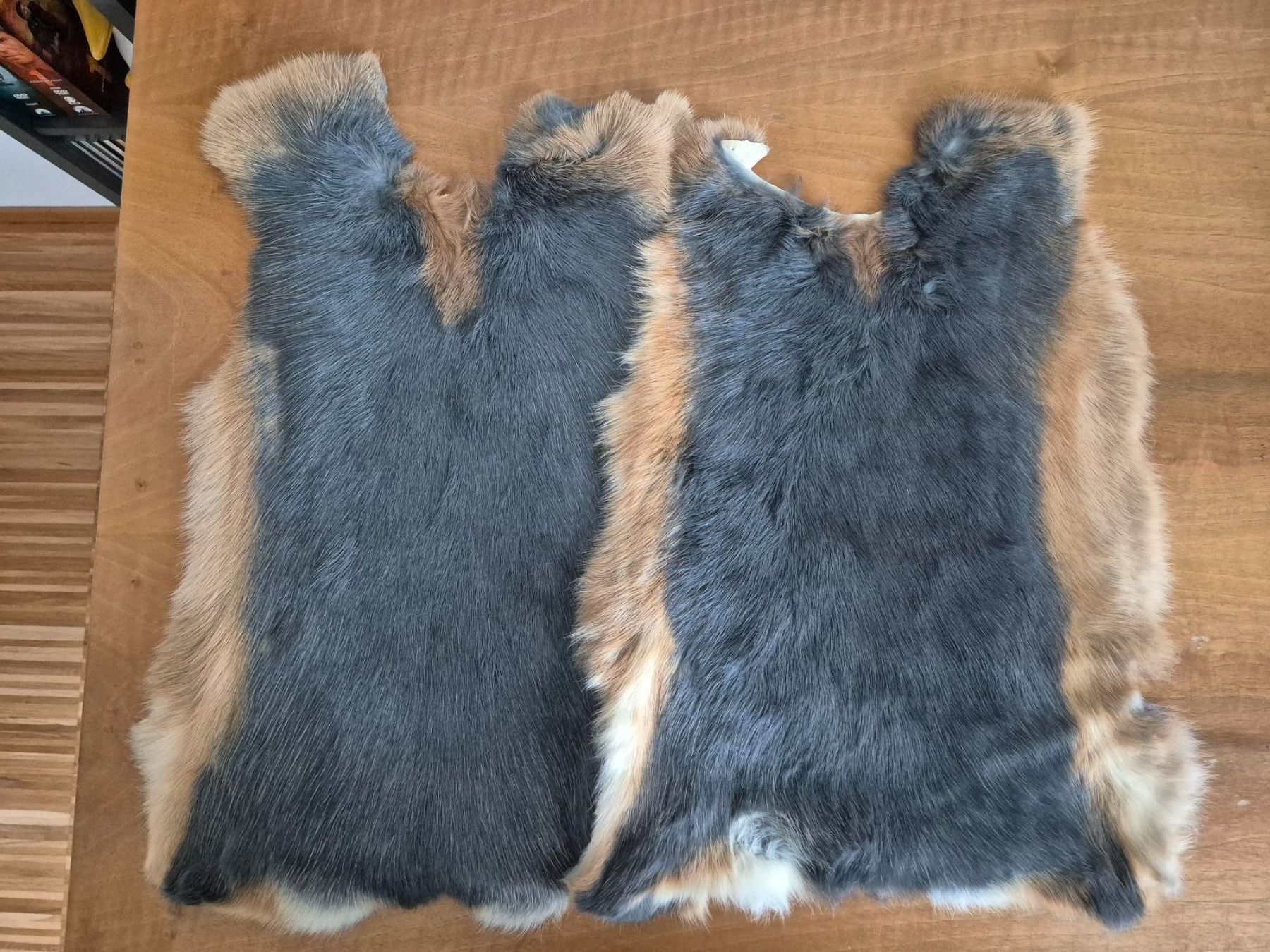 Il mondo degli animali: 2 Kaninchenfelle Blau Loh – Nuovo (secondo la descrizione) da Rüti ZH venduto da pep_l9zp