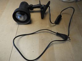 SCHWARZE SPOT,  AUS 80JAHRE,  FRISCH KONTROLLIERT BRENNT,