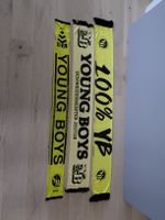 3 stkSchals Young Boys BSC 2008 / 2017-18 / 100% yb