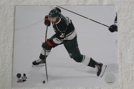 NHL Nino Niederreiter Wild home