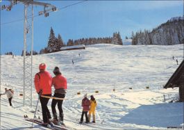 Diemtigtal BE // Skilift Schwarzenberg // Winter