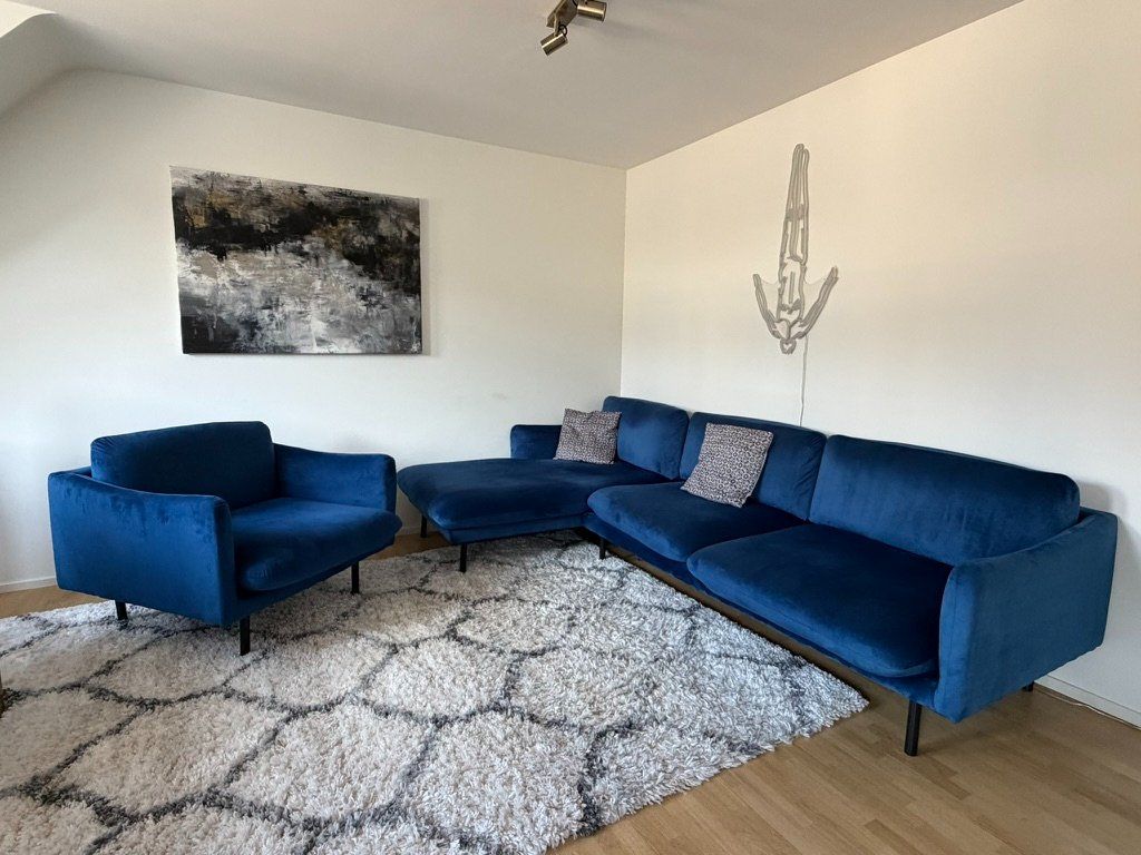 Divani: Sofa & Sessel – Usato da Zürich venduto da van_jxs5