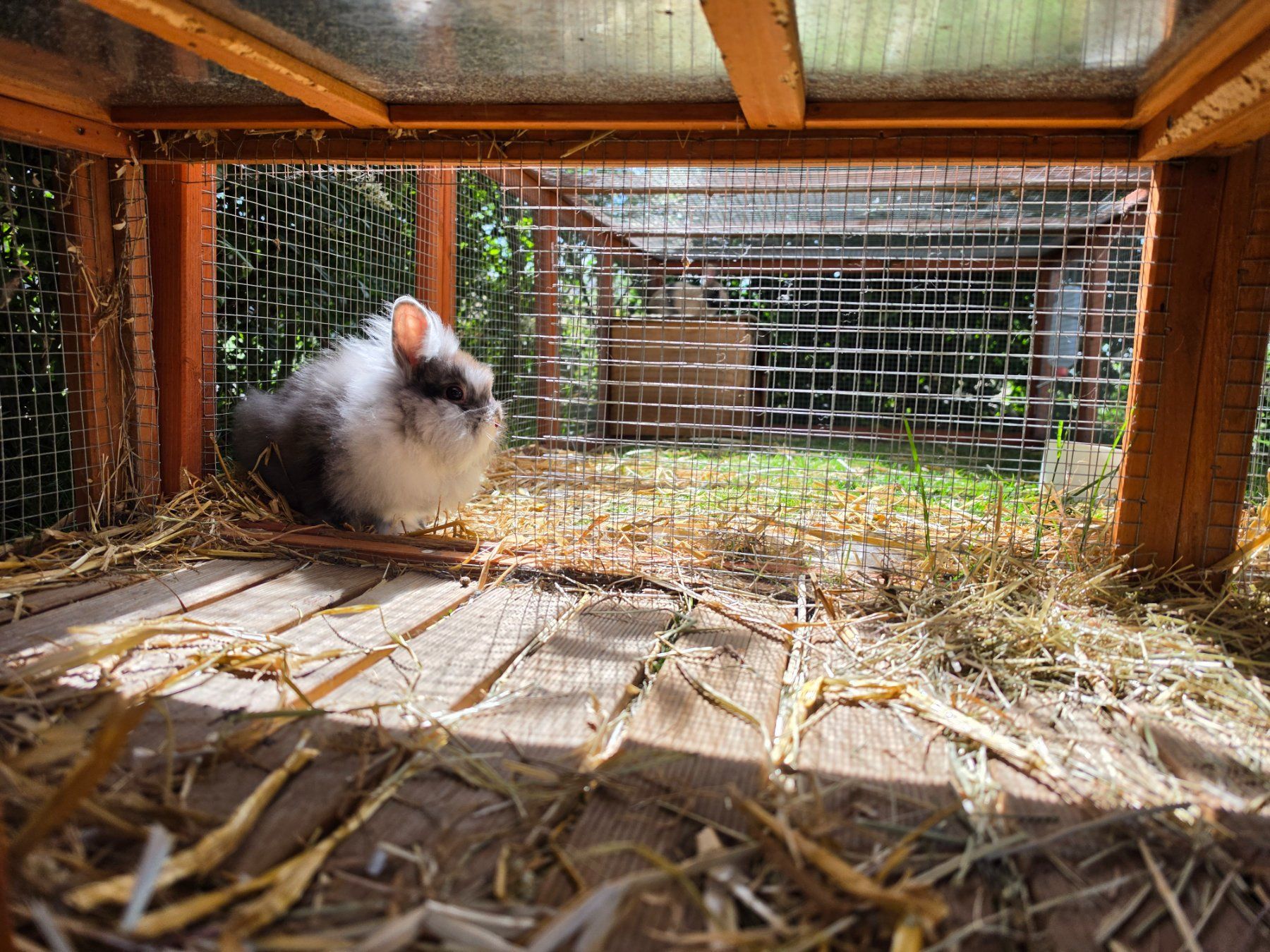 Cages, transport & sécurité: Kaninchenstall – D'occasion à Altishausen par ter_58nj 1