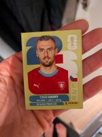 Panini Bild CZE 17
