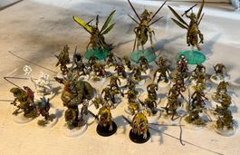 Warhammer 40k / AoS Nurgle Dämonen Armee
