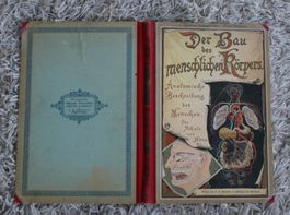 Der Bau des menschlichen Körpers, Anatomie für Schule u Haus