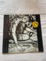 Fish - Songs From The Mirror Vinyl LP original 1993