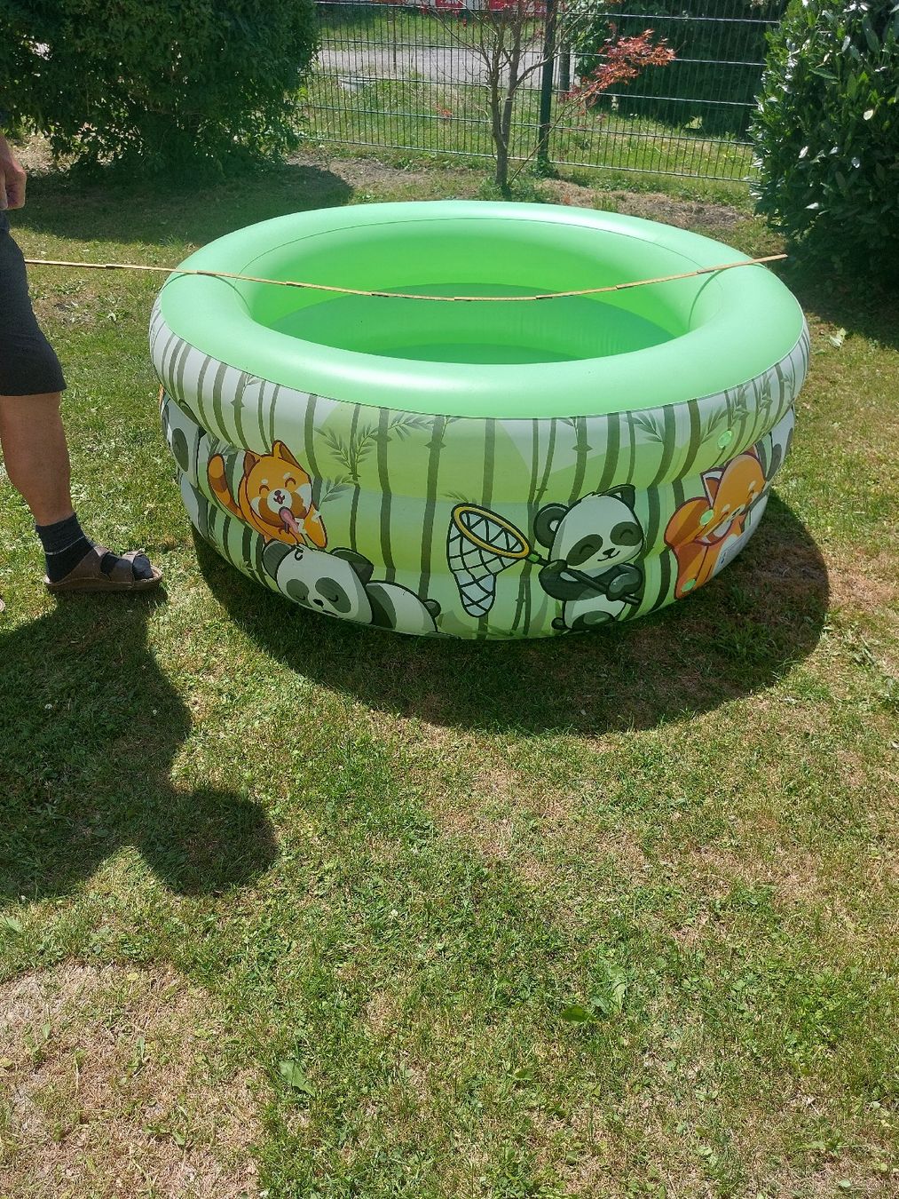 Schwimmbad: Grösseres Schwimmbasin  – Gebraucht aus Landquart von Cedes
