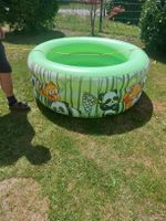 Grösseres Schwimmbasin 