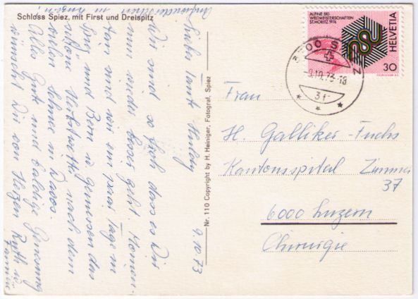 Cartoline postali: Schloss Spiez mit First & Dreispitz – Usato da Binningen venduto da Mountainrider 1