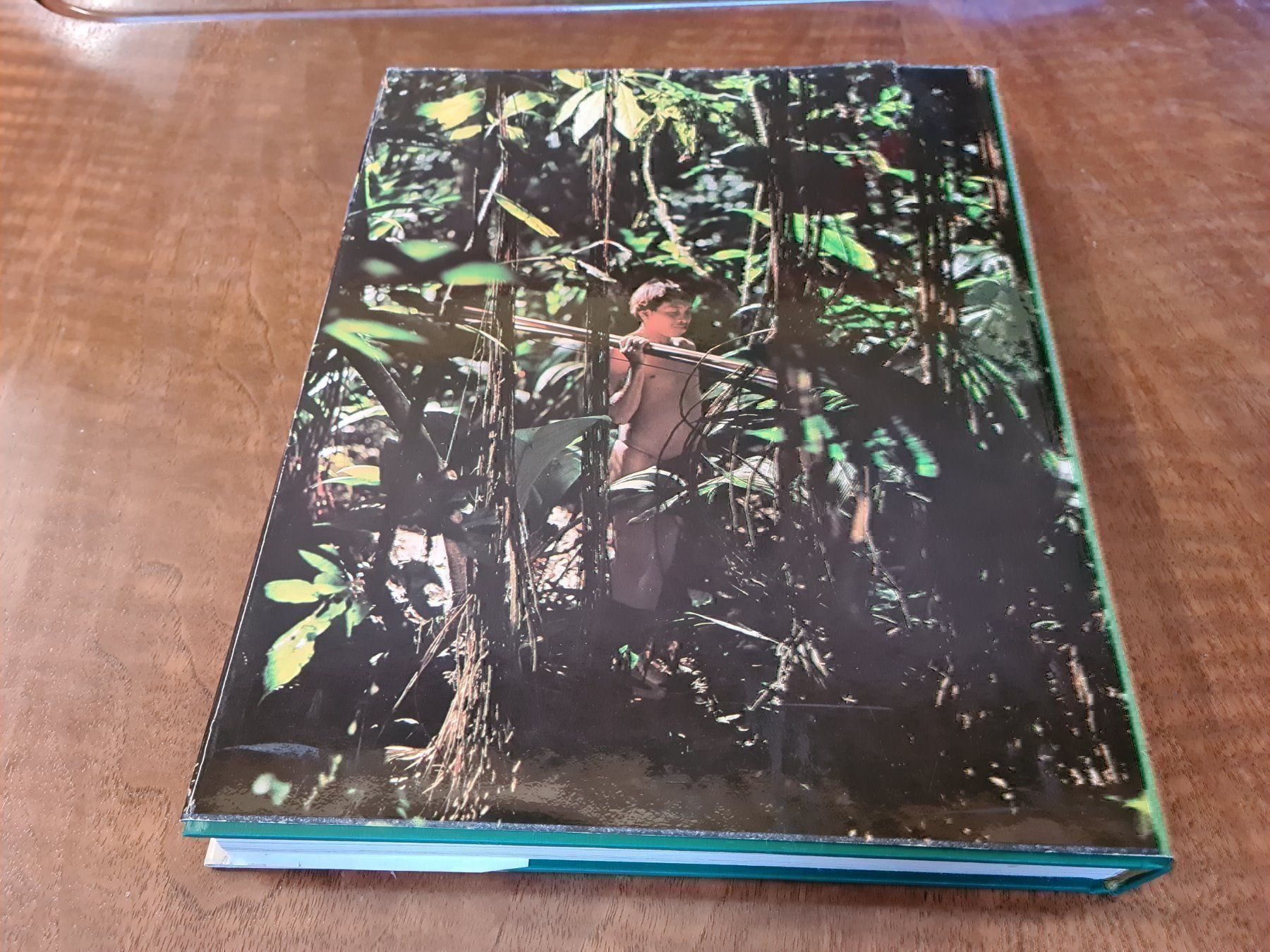 Libri: Die Wälder der Erde – Usato da Erstfeld venduto da Uhu1980 1