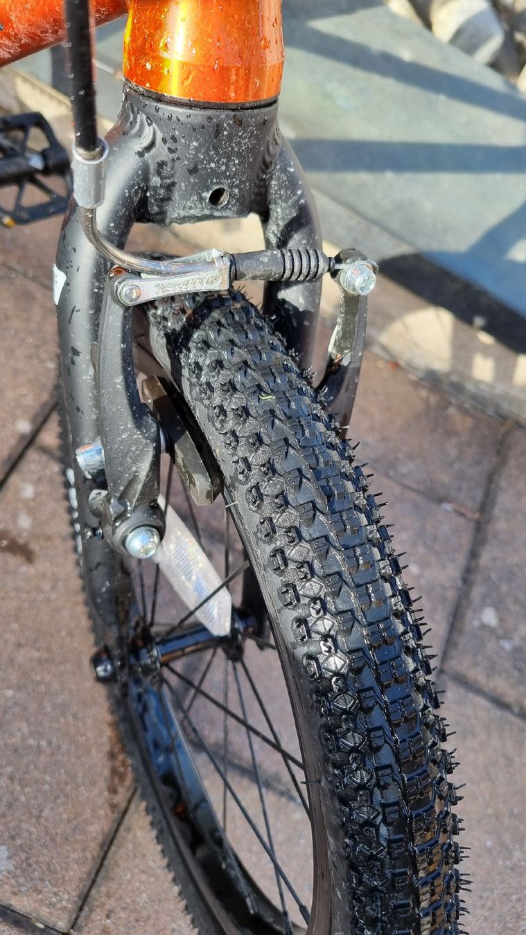 Biciclette: Rascal Bike 16" 5.5kg – Usato da Disentis/Mustér venduto da FaFubi 2