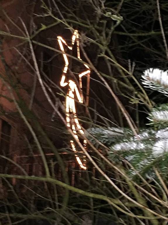 Tutte le decorazioni: Weihnachtsstern Metall mit Leuchtschlauch – Usato da Münsingen venduto da Moser99 2