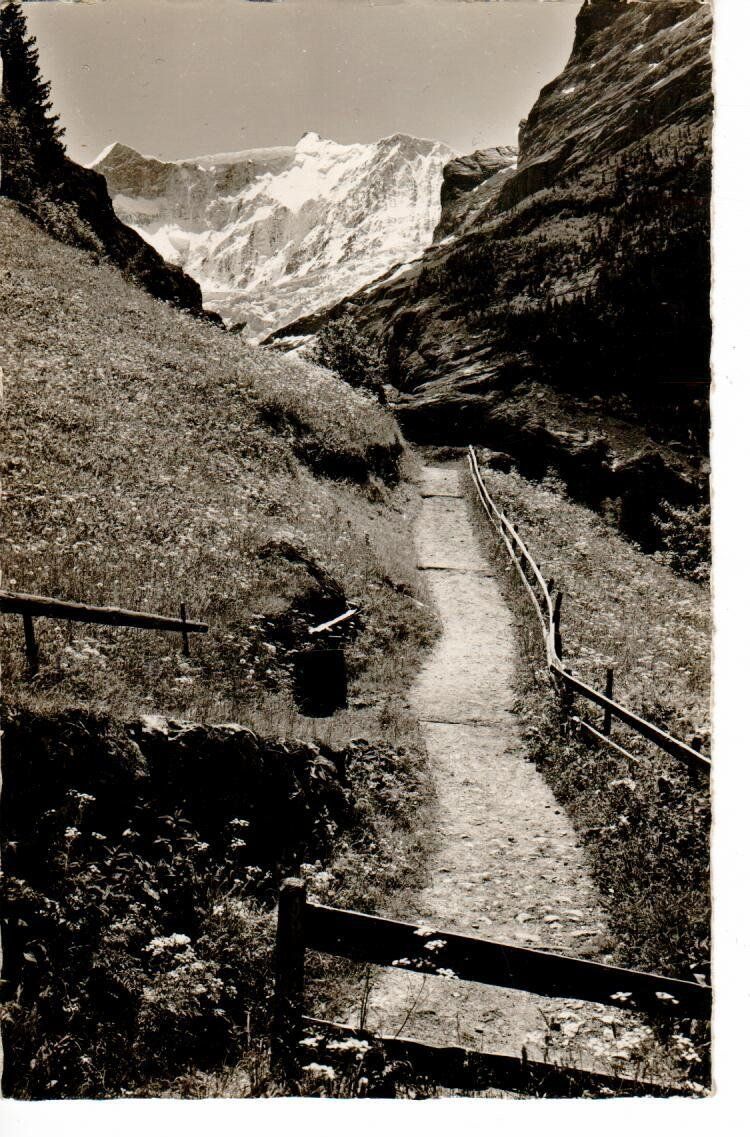 Cartoline postali: Grindelwald am Weg n. Bäregg 1941 – Usato da Wolhusen venduto da Curver9