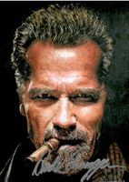 Arnold Schwarzenegger - handsigniertes Foto, Top!
