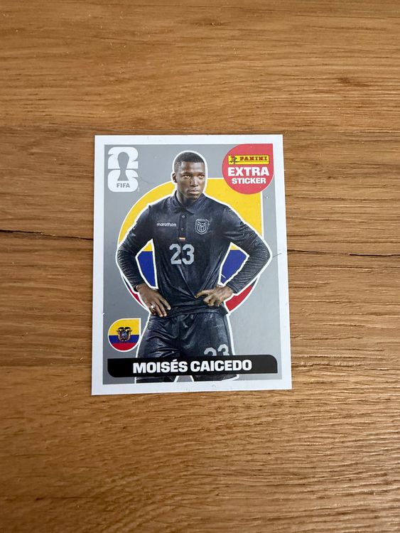 Panini WM 2026 Extra Sticker Moisés Caicedo (Neu und originalverpackt ...