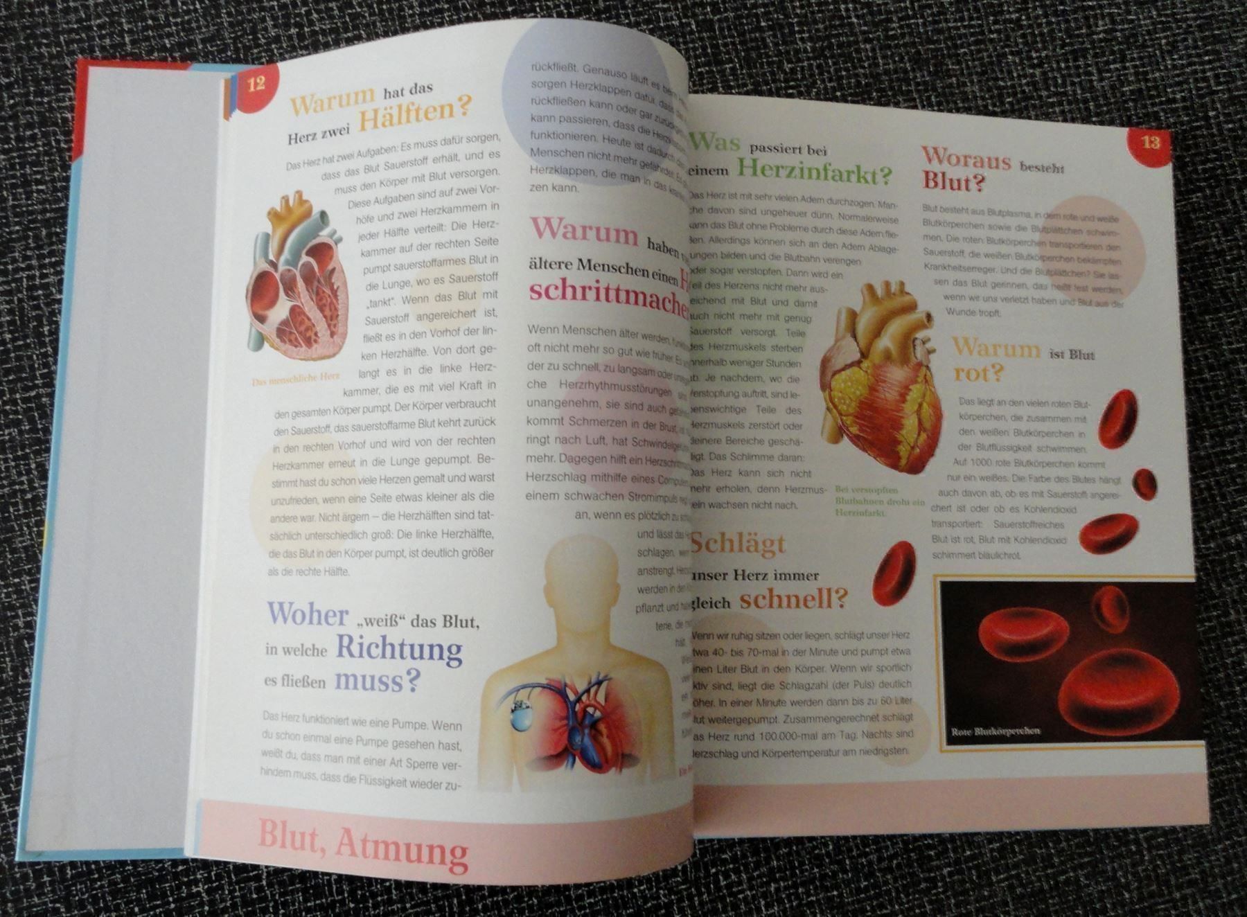 Bücher: Kinderbuch Unser Körper Kinderfragen – Neu (gemäss Beschreibung) aus zürich von parts5060 2