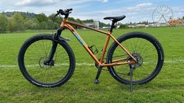 Mountainbike  12 Gang  Sehr guter Zustand