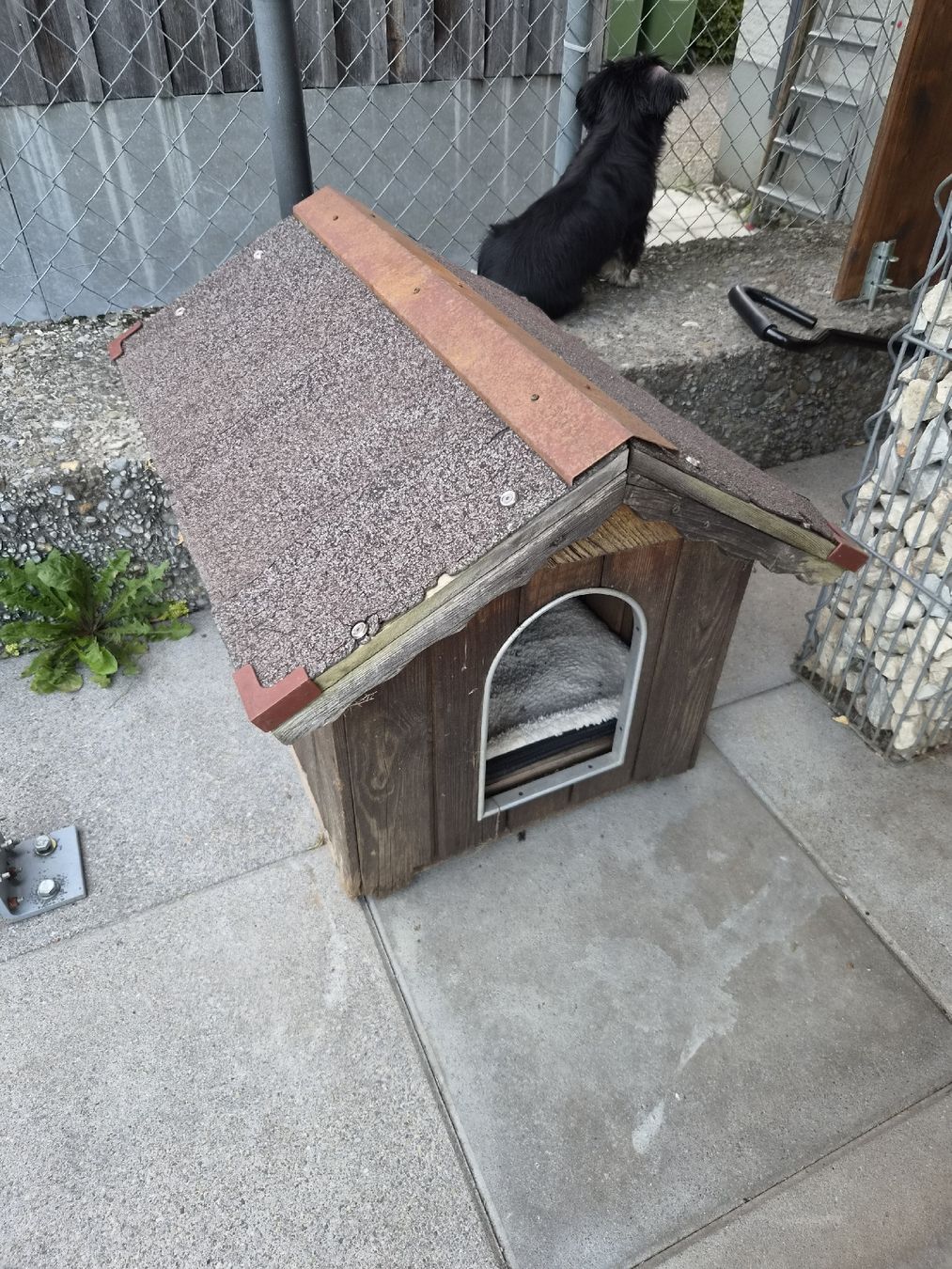 Liege- & Schlafplätze: Hundehütte  – Gebraucht aus weesen von haemmerliroman15