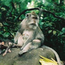 Profile image of LOUI_S