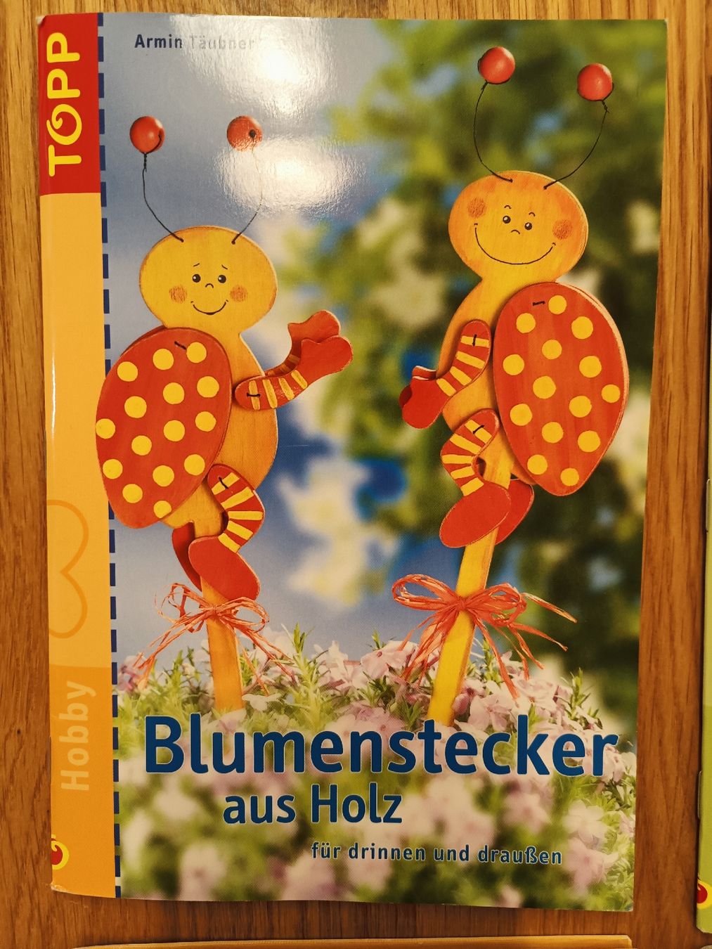 Libri: Topp Holzbastelbücher – Usato da Wangen SZ venduto da mka_w5d2 3