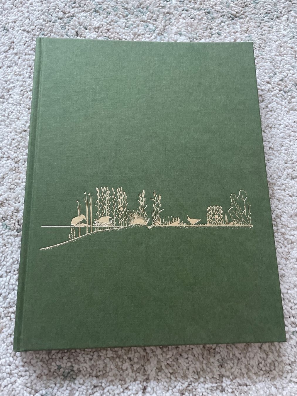 Libri: Naturbuch – Usato da Sargans venduto da Didis 1