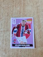 Panino Haaland extra normal NM