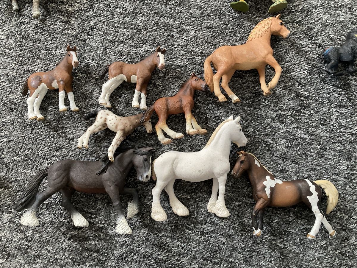 Schleich Giocattoli: Schleich Sammlung – Usato da Chur venduto da Tommm 1