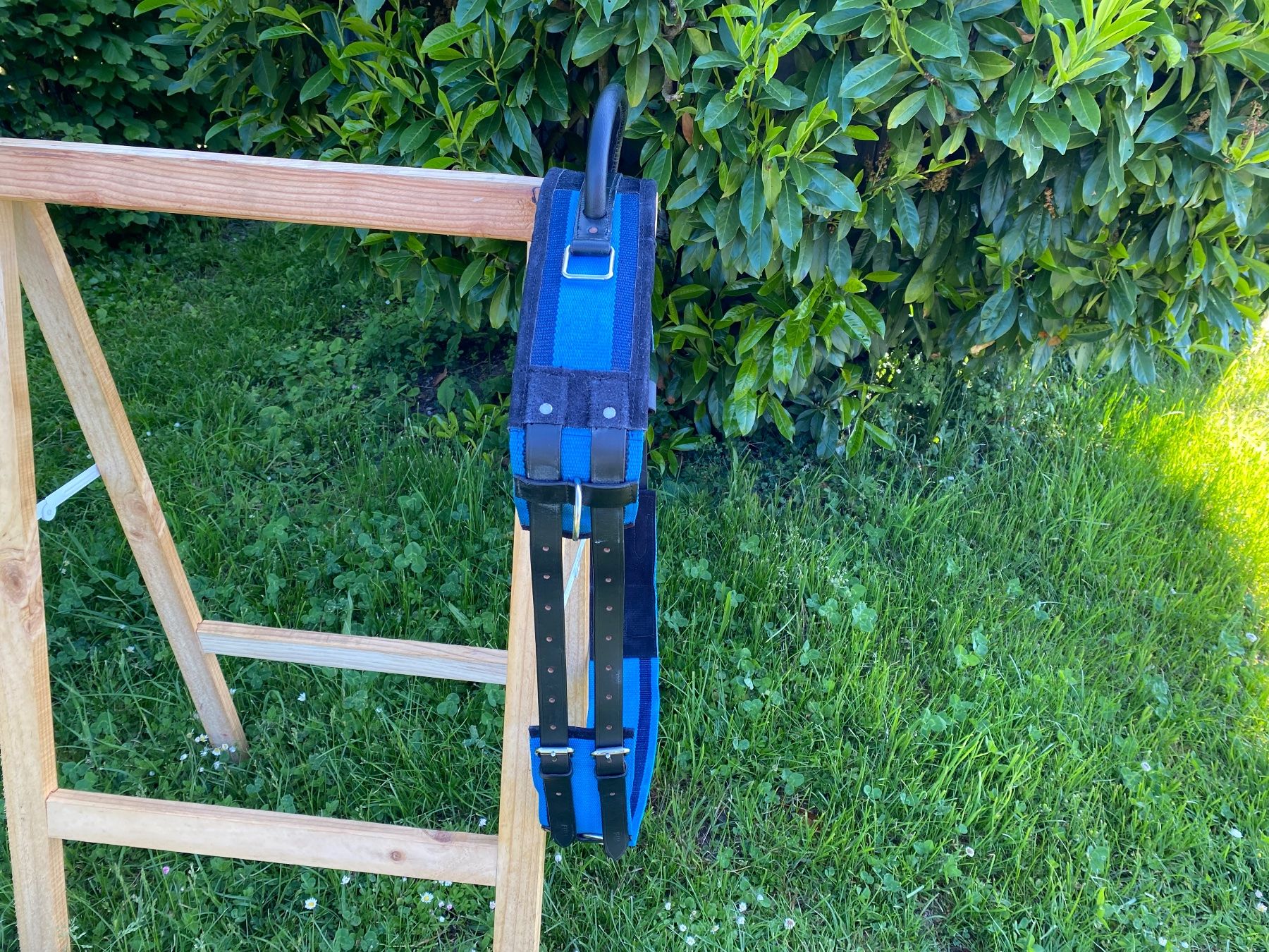 Briglie & Cavezze: schöner Voltigiergurt mit Haltegriff – Usato da Feldbach venduto da Fea1 6